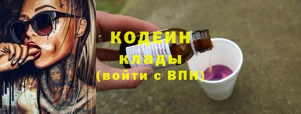 гашик Верея