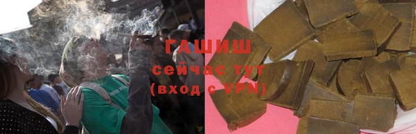 гашик Верея