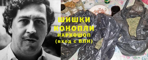 гашик Верея