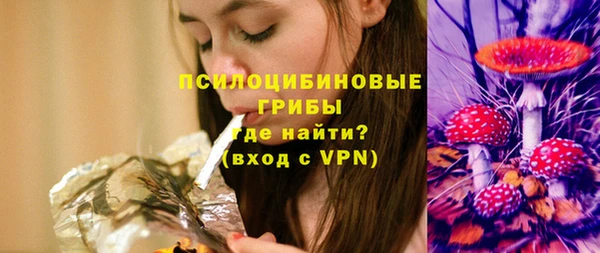 гашик Верея
