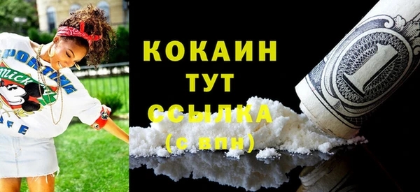 гашик Верея