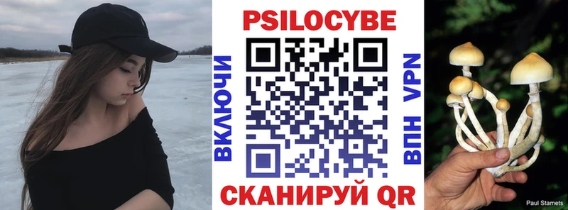 Галлюциногенные грибы Cubensis  где продают   Липецк 