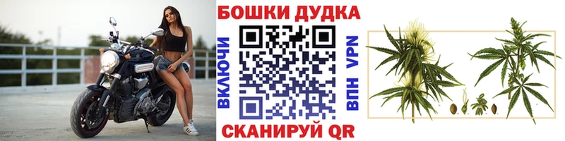 это как зайти  Липецк  Каннабис гибрид 